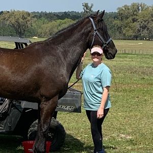 Meet your Posher, Sharon